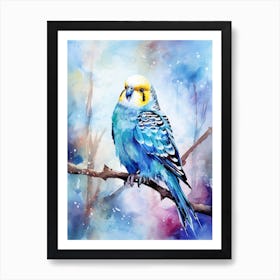 Snowy Budgie Illustration 1 Art Print