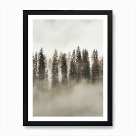 Misty Evergreen Trees Art Print