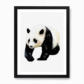 Panda Painting Art Art Print