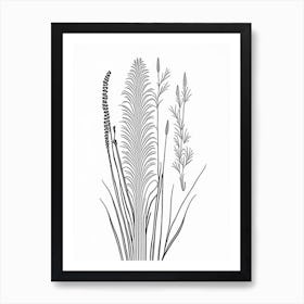 Horsetail Herb William Morris Inspired Line Drawing 1 Art Print