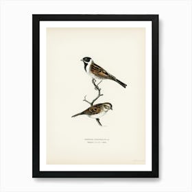 Reed Bunting, The Von Wright Brothers Art Print