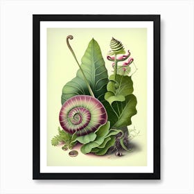 Mystery Snail  Botanical Art Print