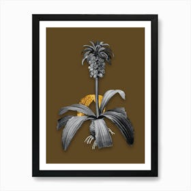Vintage Eucomis Regia Black and White Gold Leaf Floral Art on Coffee Brown n.0925 Art Print