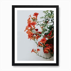 The Tiny Orange Flowers In Spain Travel Art Print