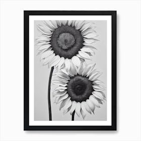 Sunflower B&W Pencil 2 Flower Art Print