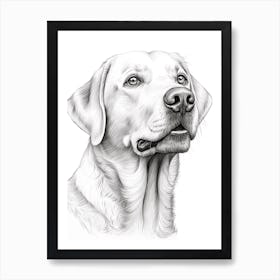 Labrador Retriever Dog, Line Drawing 4 Art Print