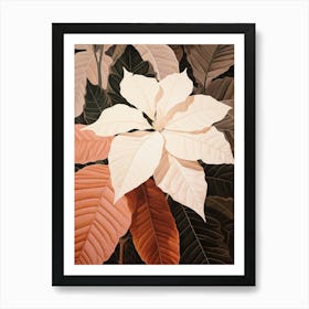 Flower Illustration Poinsettia Art Print