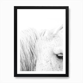 Black And White Horse Portrait Art Print