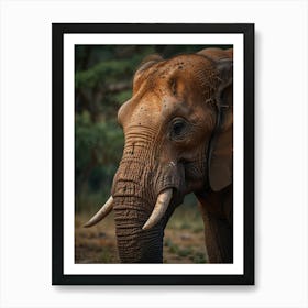 Elephant Tusks Art Print