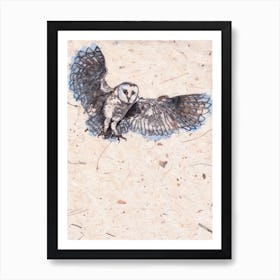 Barn Owl Art Print