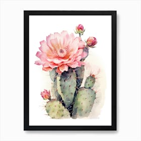 Trichocereus Cactus Watercolour Drawing 4 Art Print