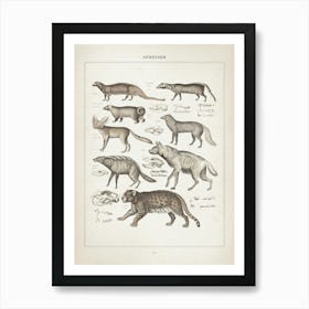 Vintage Oken 1 Springer Art Print