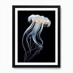 Irukandji Jellyfish Simple Illustration 4 Art Print