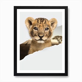 Lion Cub Torn Paper Art Print
