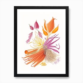 Saffron Spices And Herbs Pencil Illustration 1 Art Print