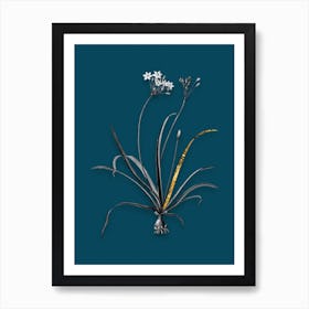 Vintage Allium Fragrans Black and White Gold Leaf Floral Art on Teal Blue n.0946 Art Print