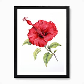 Hibiscus Flower Vintage Botanical 3 Art Print