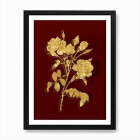 Vintage White Rose Botanical in Gold on Red n.0395 Art Print