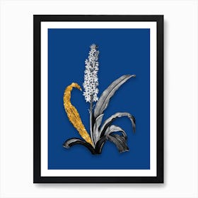 Vintage Eucomis Punctata Black and White Gold Leaf Floral Art on Midnight Blue n.0817 Art Print