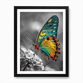 Butterfly on flower Art Print