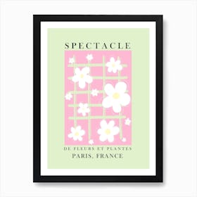 Spectacle De Fleurs Art Print