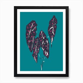 The Plant Series Begonia Maculata Blue Art Print