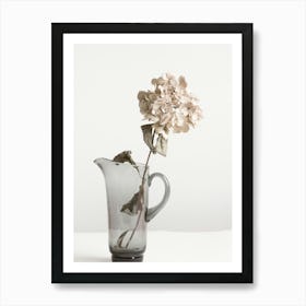 Flower in Jug_2114230 Art Print