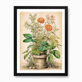 Orange Flowers In A Pot Art Print