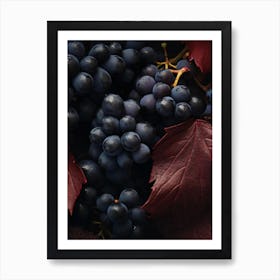 Black Grapes With Red Leaves Art Print