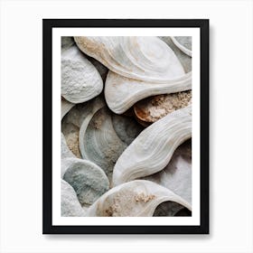 Sea Shell Detail No 4 Art Print