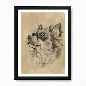 Tibetan Spaniel Dog Charcoal Line 4 Art Print