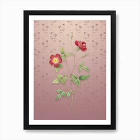 Vintage Indica Stelligera Rose Botanical on Dusty Pink Pattern n.0375 Art Print