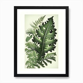 Ruffled Fern 1 Vintage Botanical Poster Art Print