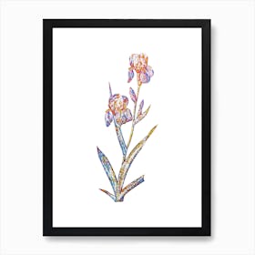 Stained Glass Elder Scented Iris Mosaic Botanical Illustration on White n.0208 Art Print