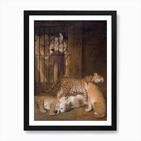 Lion And Tigress Art Print