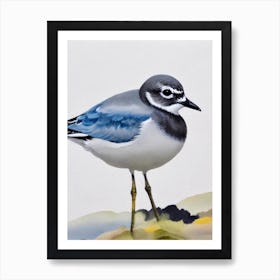 Grey Plover Watercolour Bird Art Print