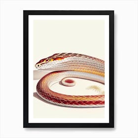 Corn Snake 1 Vintage Art Print