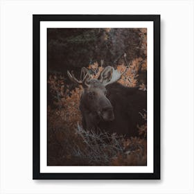 Small Moose Art Print