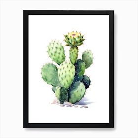 Notocactus Cactus Watercolour Drawing 4 Art Print