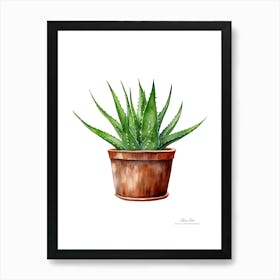 Aloe vera plant. Green plant. Beautiful plant. Thorns plant. Aloe vera flowers.6 Art Print