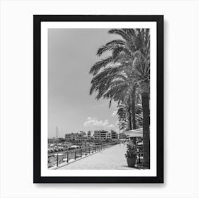 Palm Trees On The Promenade Mallorca Cala Millor Black White Art Print