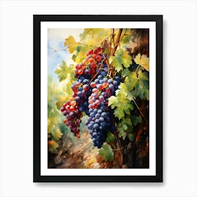 Grapes On The Vine Art Print