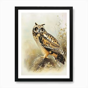 Short Eared Owl Vintage Illustration 2 Art Print