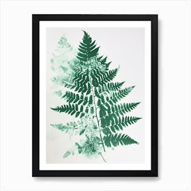 Green Ink Painting Of A Silver Lace Fern 2 Art Print