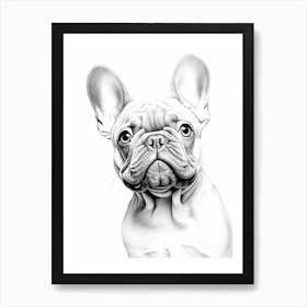 French Bulldog Dog, Line Drawing 1 Art Print