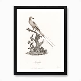 Sheregrig, James Heath Art Print