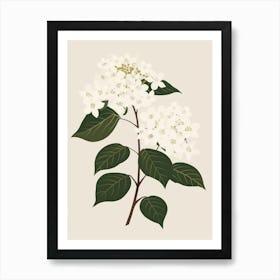 Hydrangea 10 Art Print