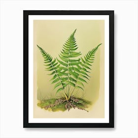 Vintage Illustration Button Fern 2 Art Print