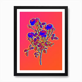 Neon Burgundian Rose Botanical in Hot Pink and Electric Blue n.0364 Art Print