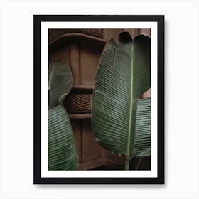 Palm Leave Art Print